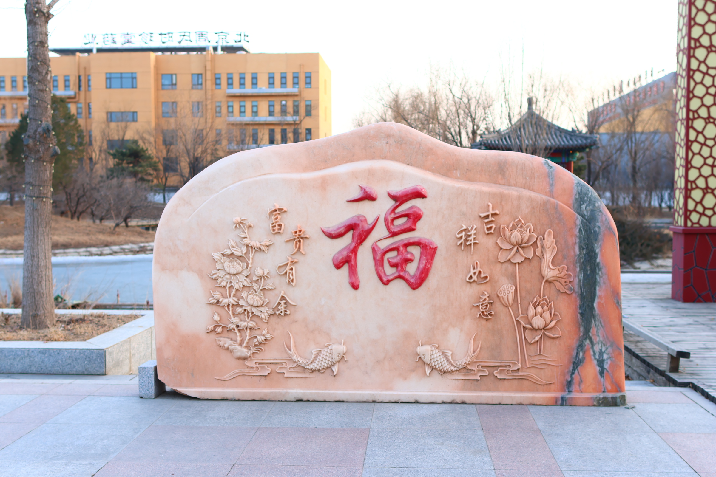 e5503883288a2d9de753add11a7dd524.JPG