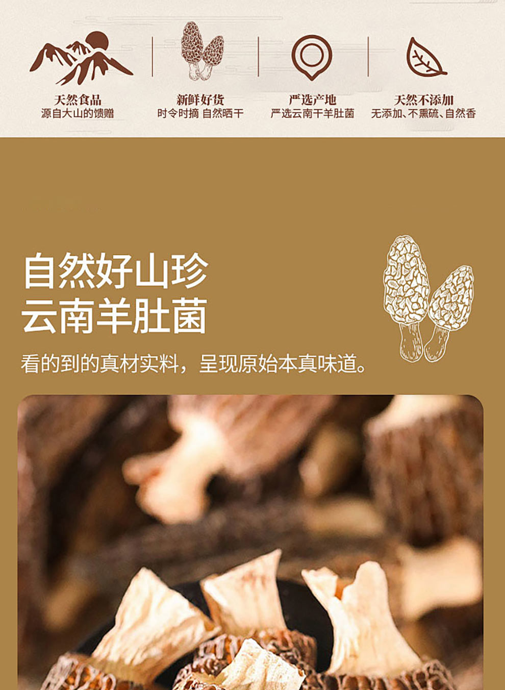 羊肚菌_02.jpg