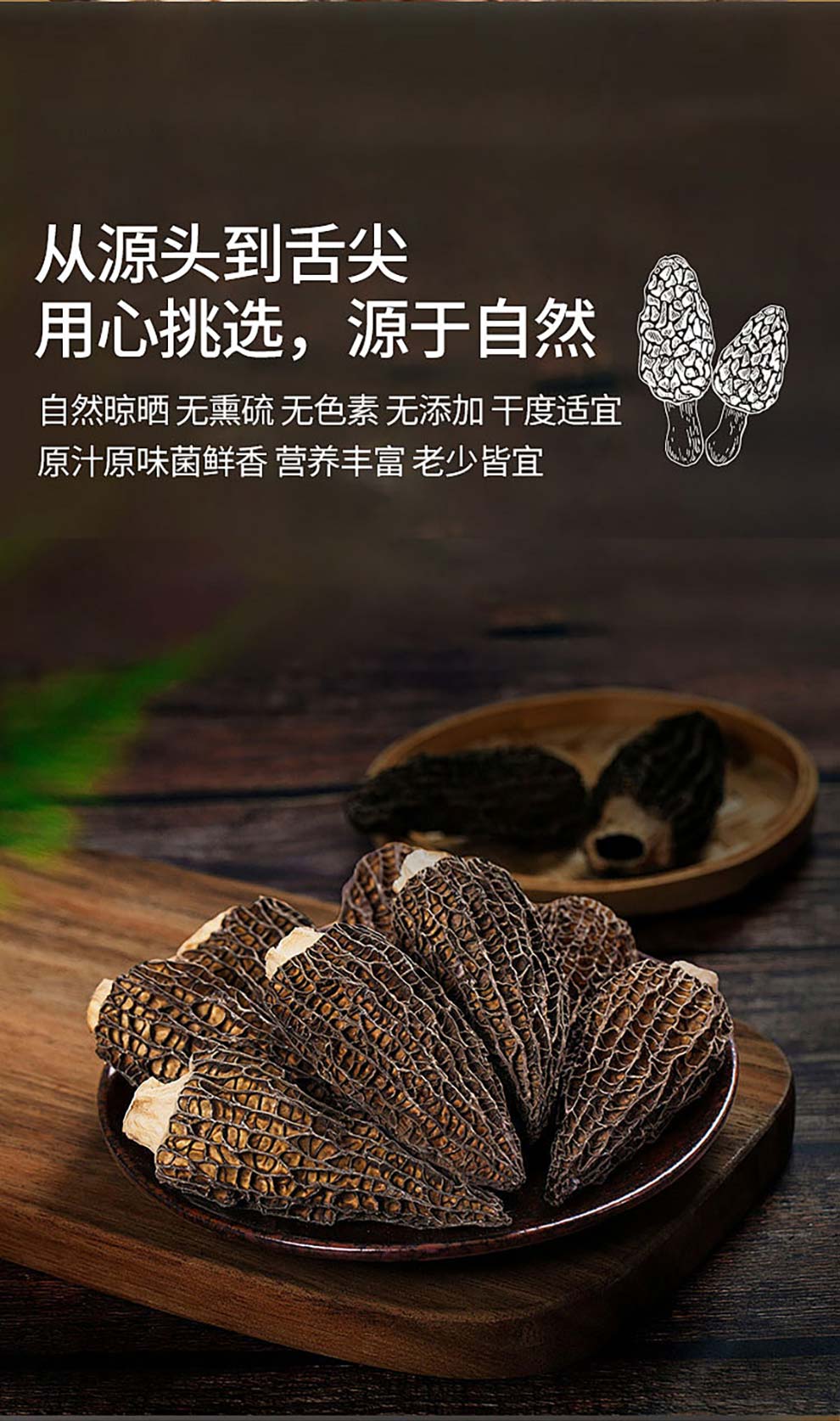 羊肚菌_06.jpg