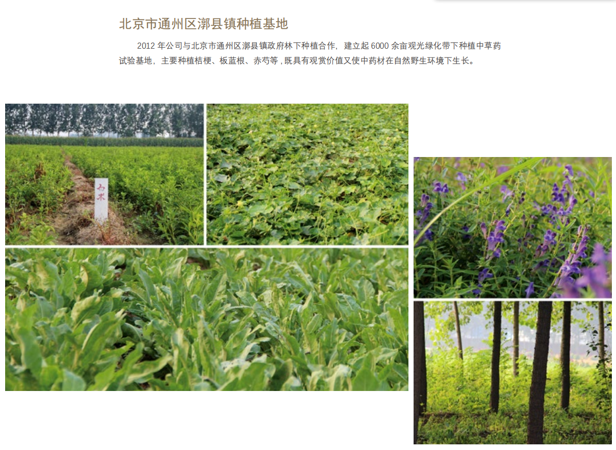 ab8f8b96a7091be743f1d88713546cc.png
