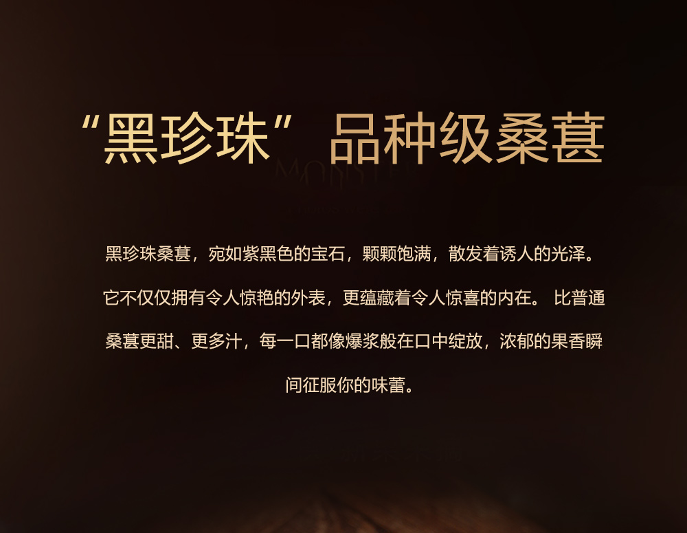 桑葚酒_07.jpg