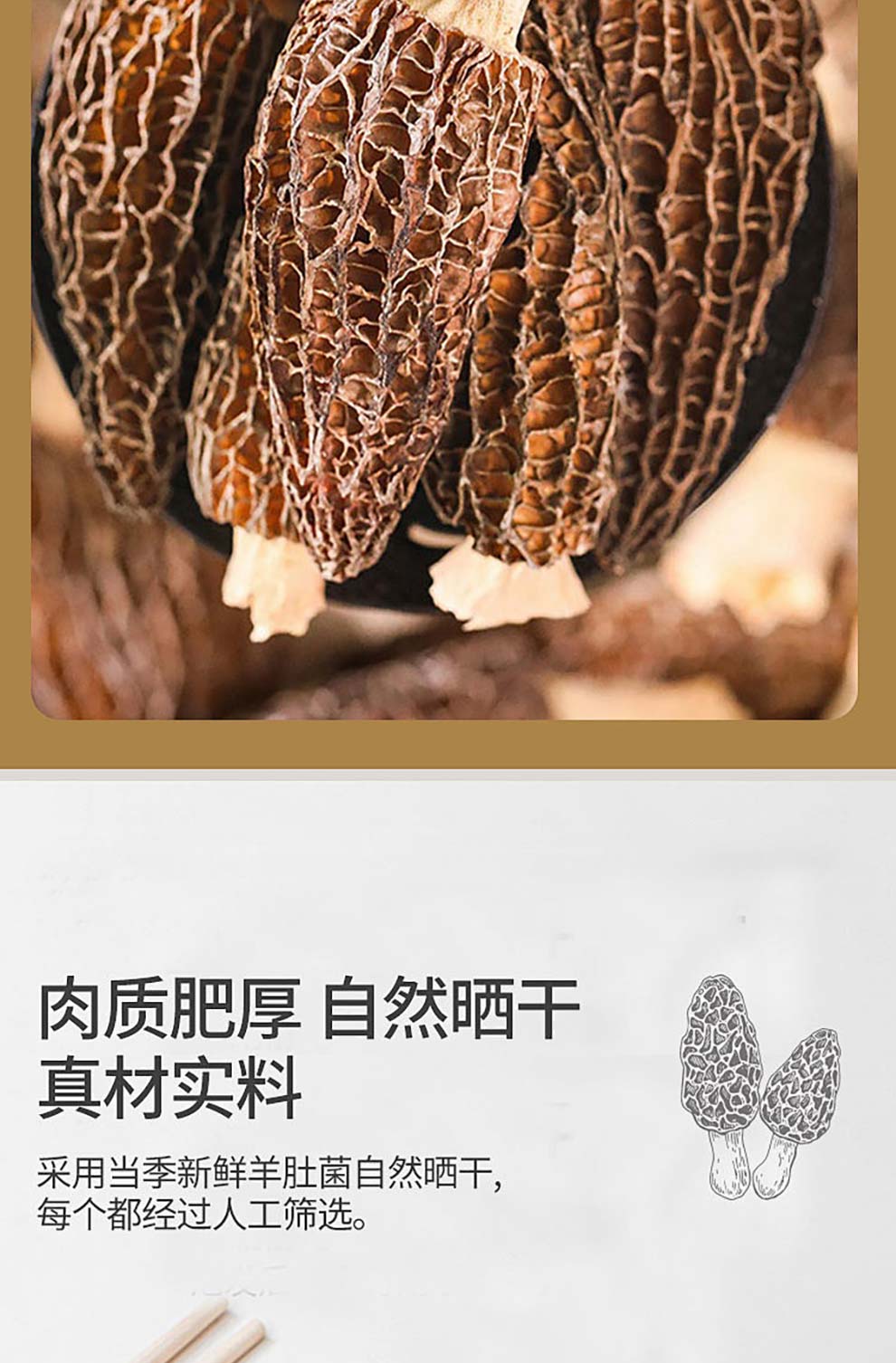 羊肚菌_03.jpg