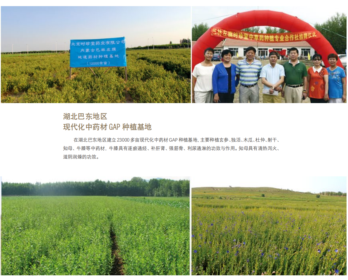 湖北巴东.png