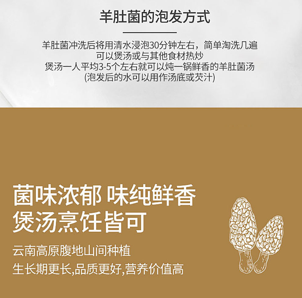 羊肚菌_08.jpg